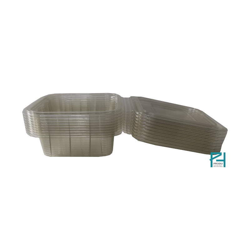 ENVASE TAPA BISAGRA PET 500 ML. - Imagen 2